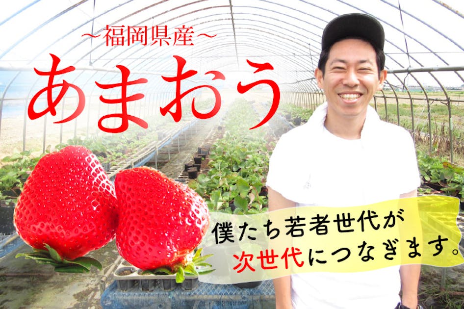 いちごの王様『あまおう』を次世代へ繋ぎたい！ - CAMPFIRE