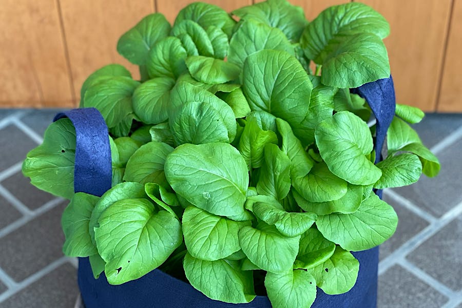 5番目のメイン画像