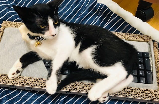 2番目のメイン画像