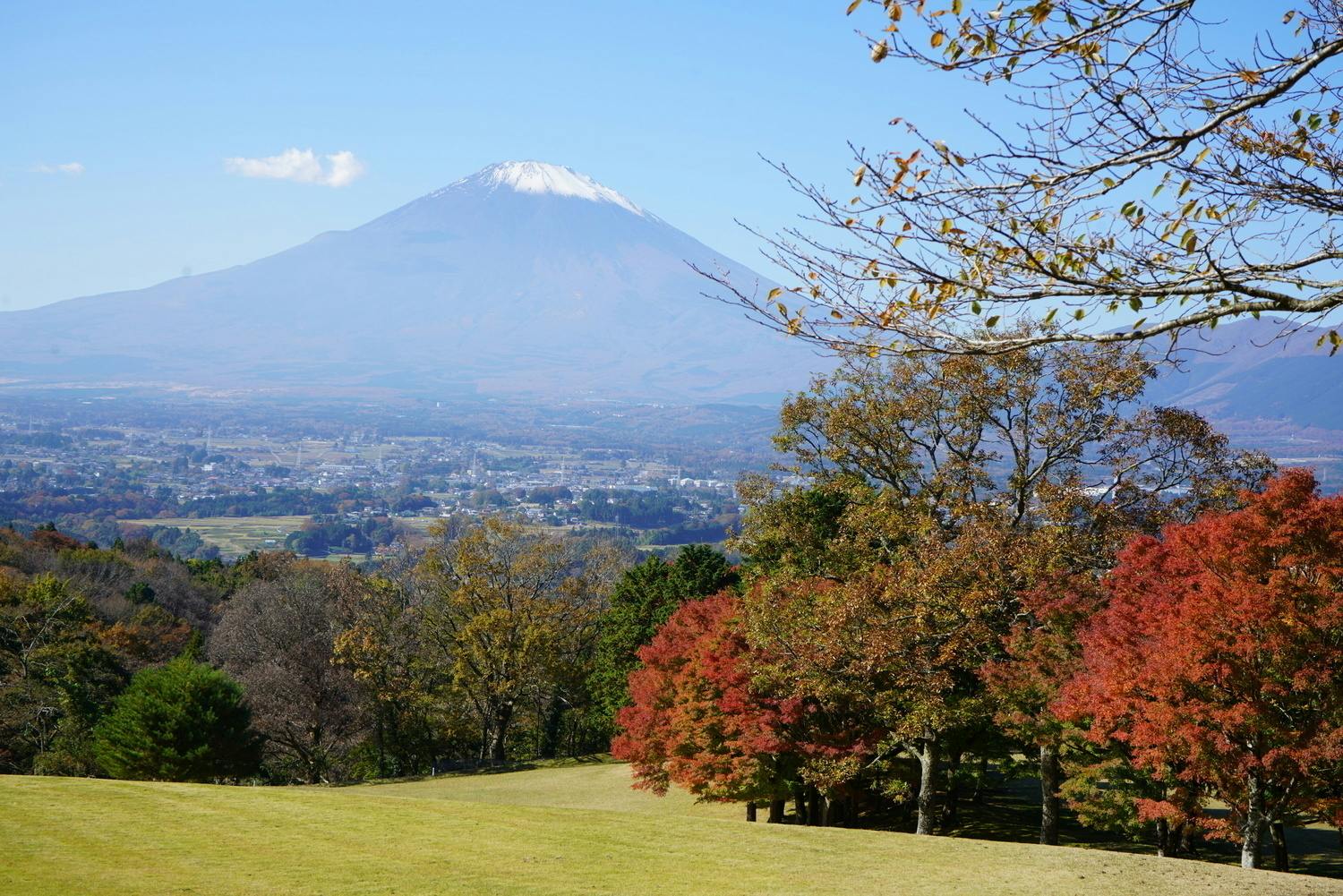 3番目のメイン画像