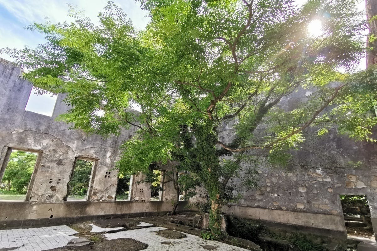 4番目のメイン画像