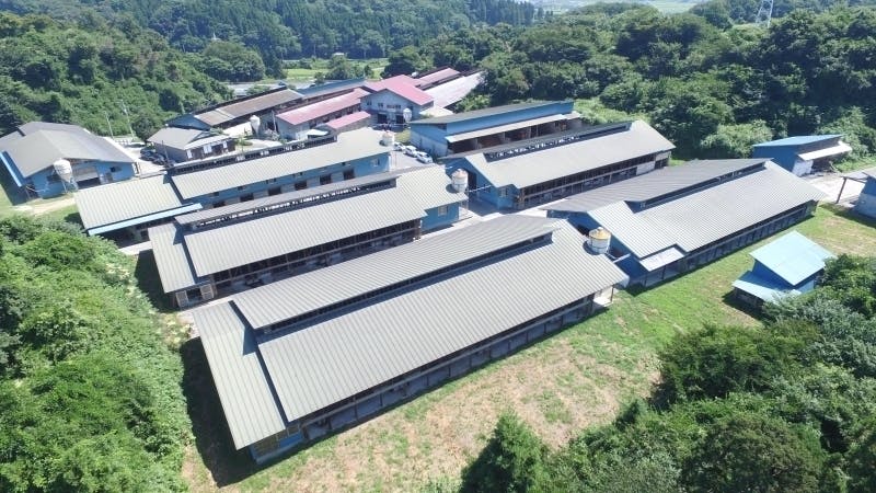 3番目のメイン画像