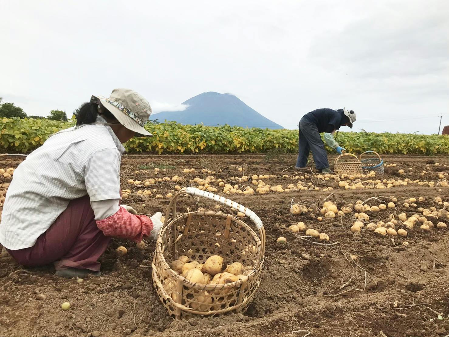 3番目のメイン画像