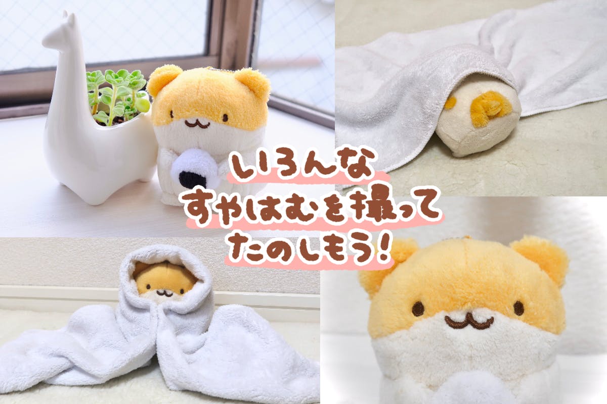 5番目のメイン画像