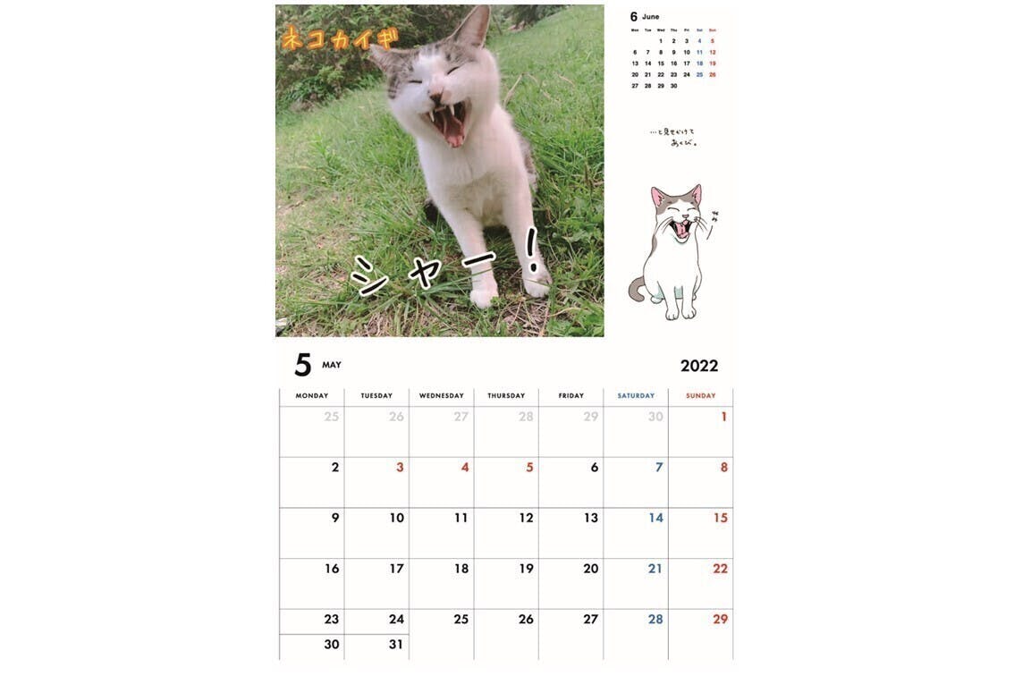 2番目のメイン画像