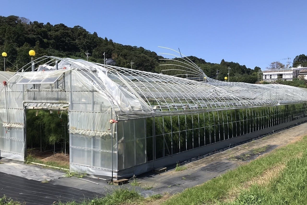 2番目のメイン画像