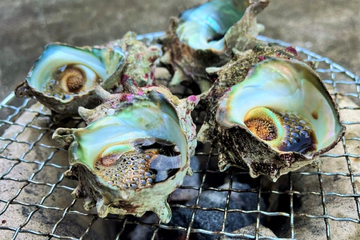 5番目のメイン画像