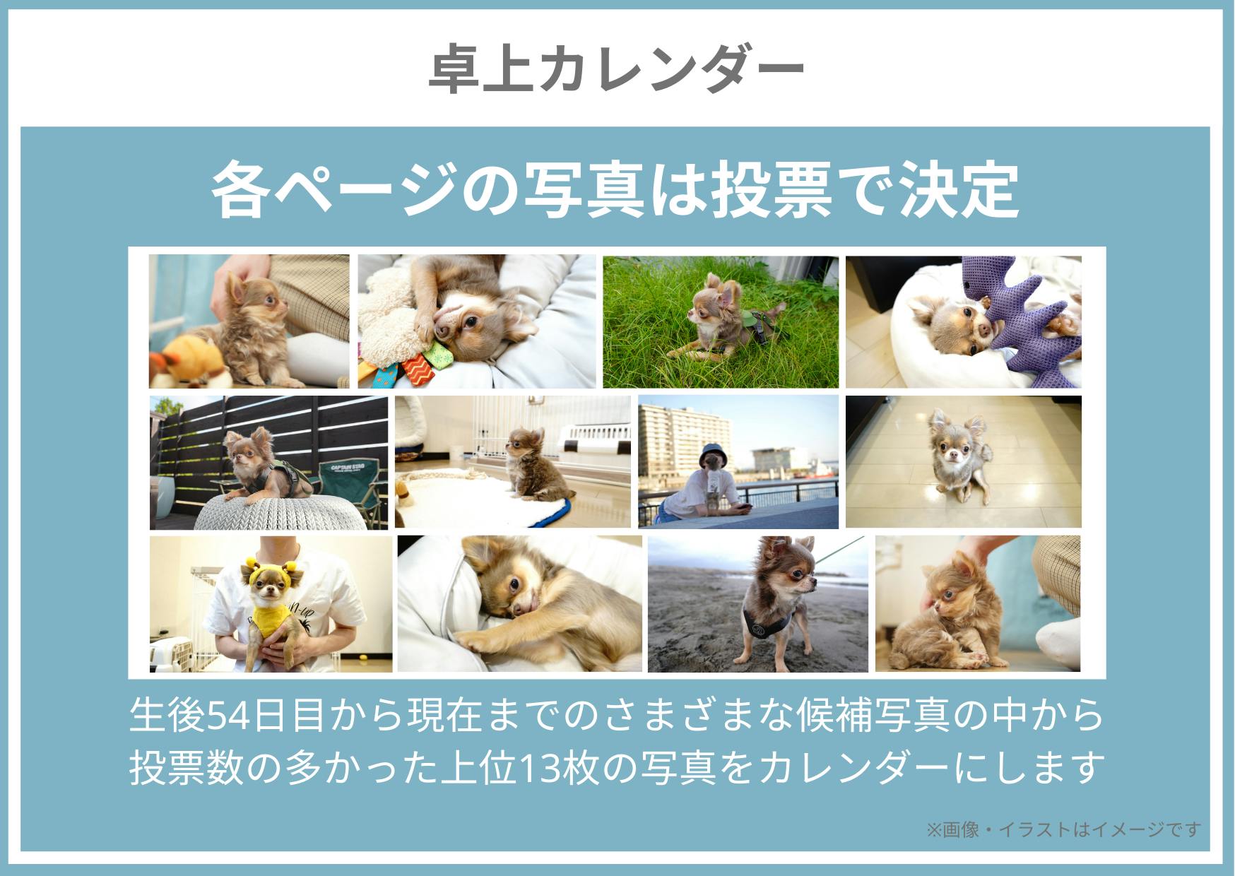 5番目のメイン画像