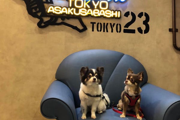 1番目のメイン画像