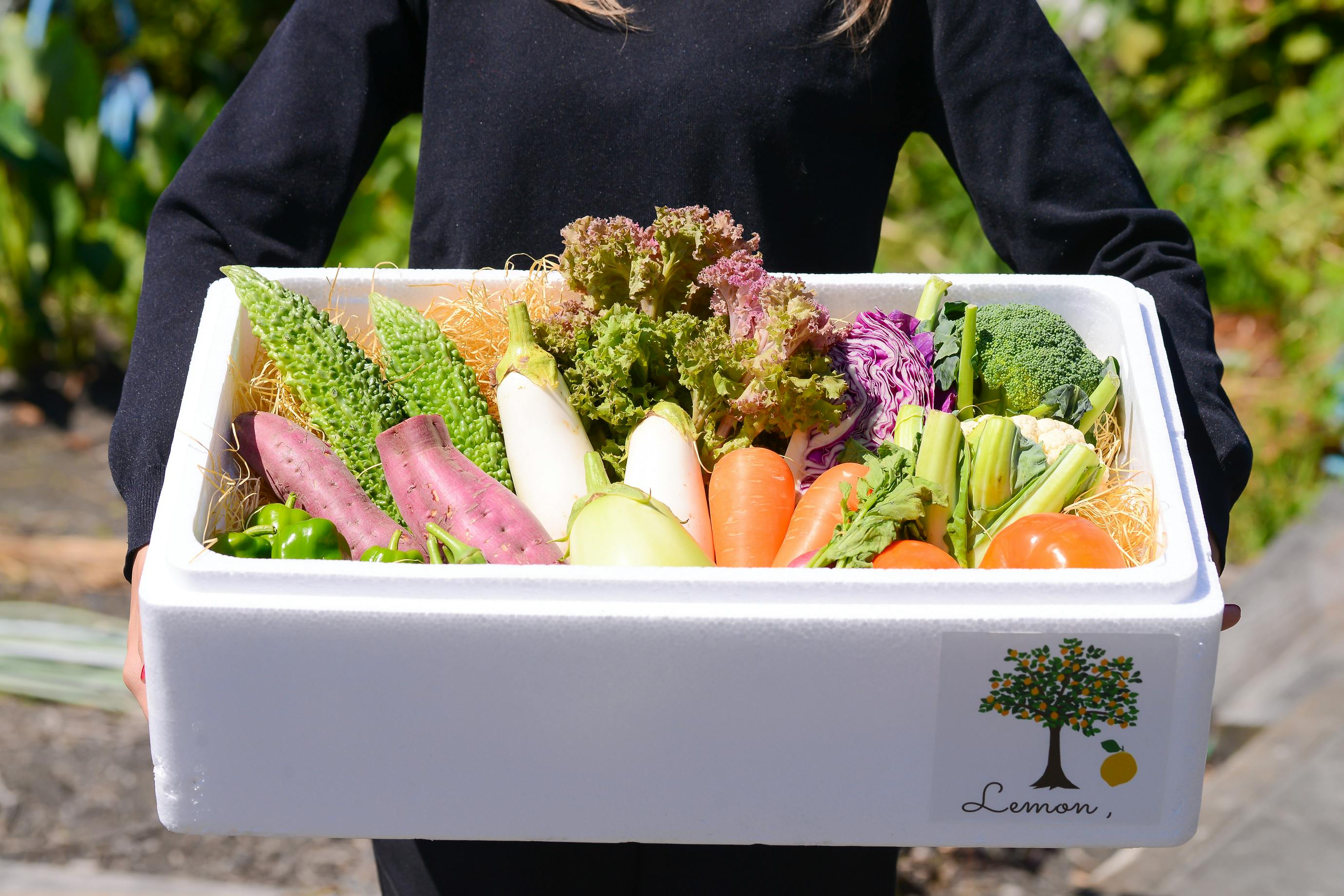 5番目のメイン画像