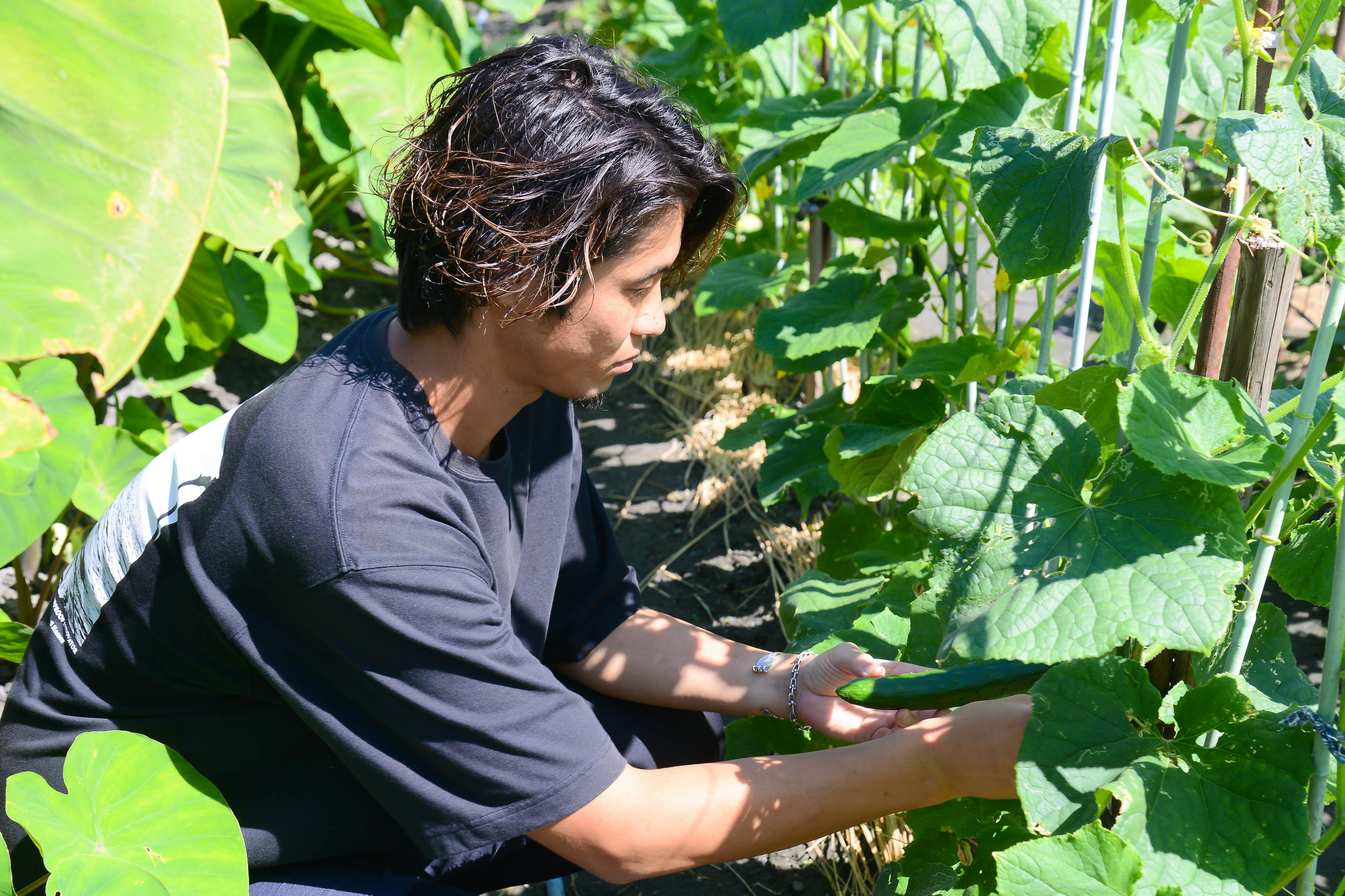 3番目のメイン画像