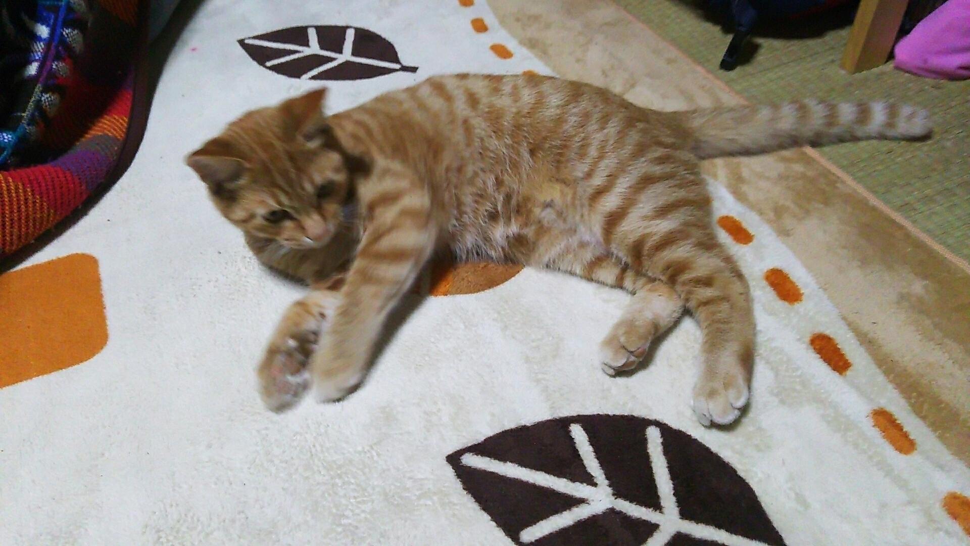 4番目のメイン画像