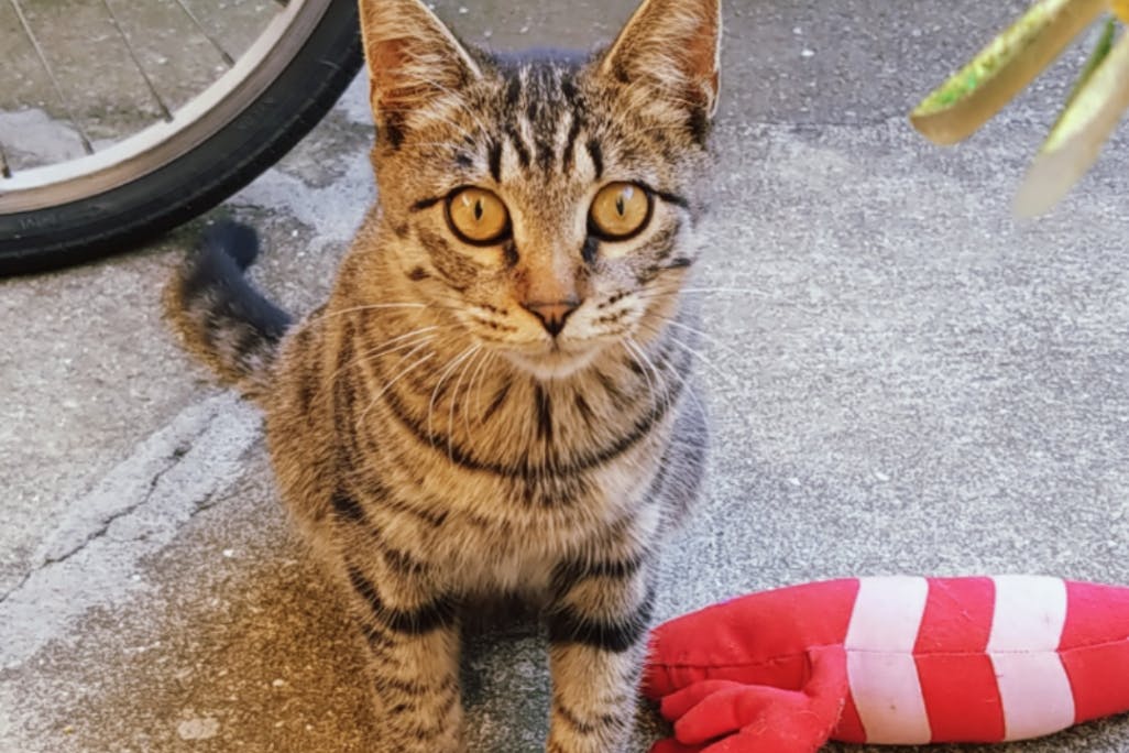 1番目のメイン画像