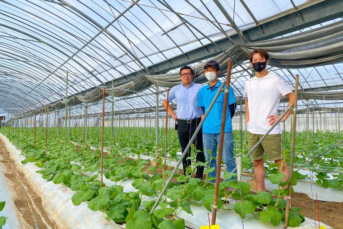 5番目のメイン画像