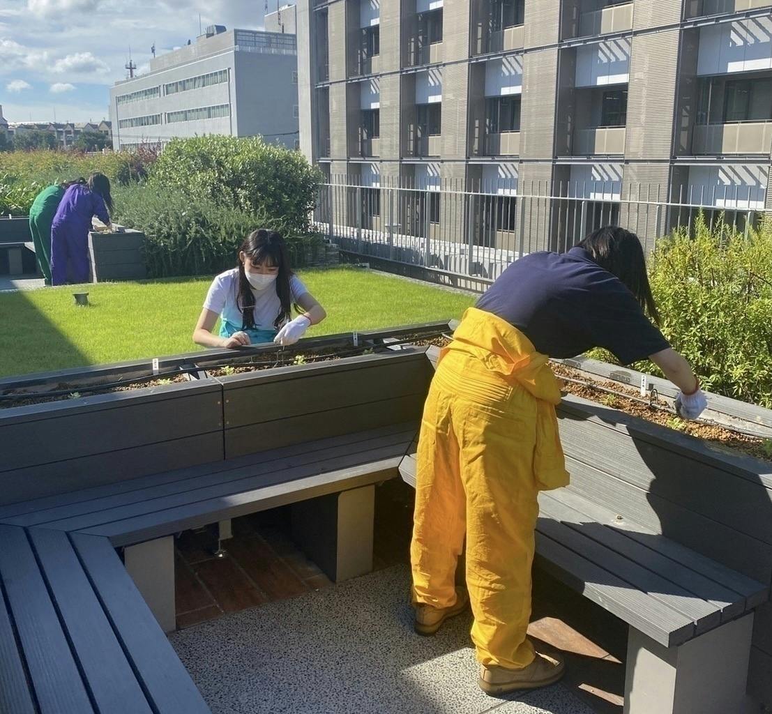 4番目のメイン画像