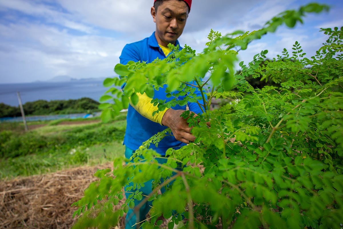 2番目のメイン画像