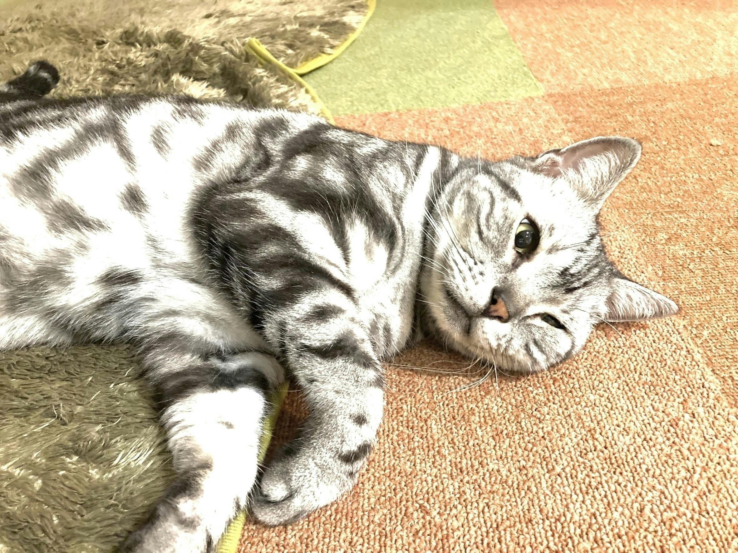 4番目のメイン画像