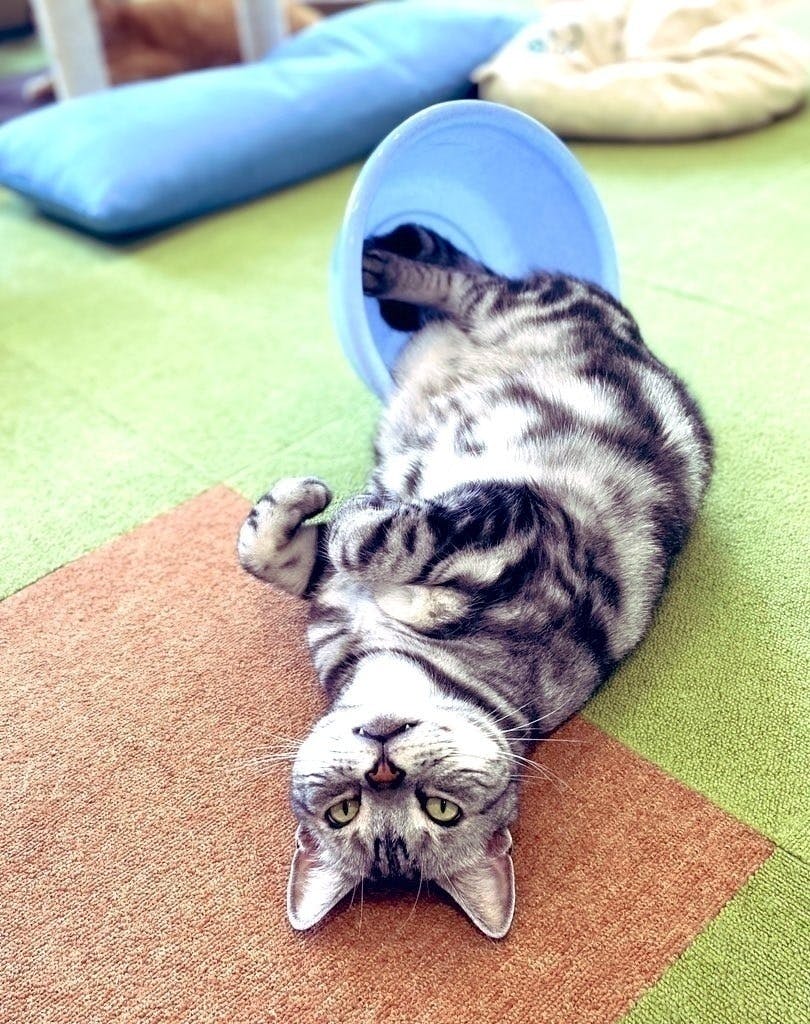 3番目のメイン画像