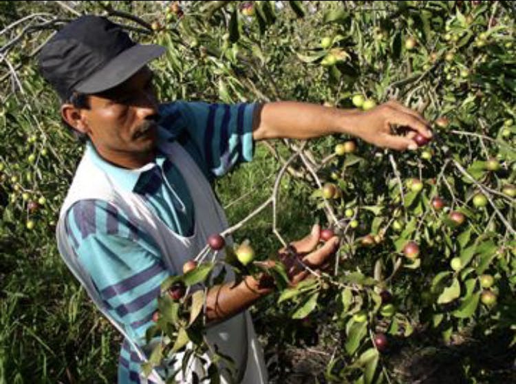 4番目のメイン画像