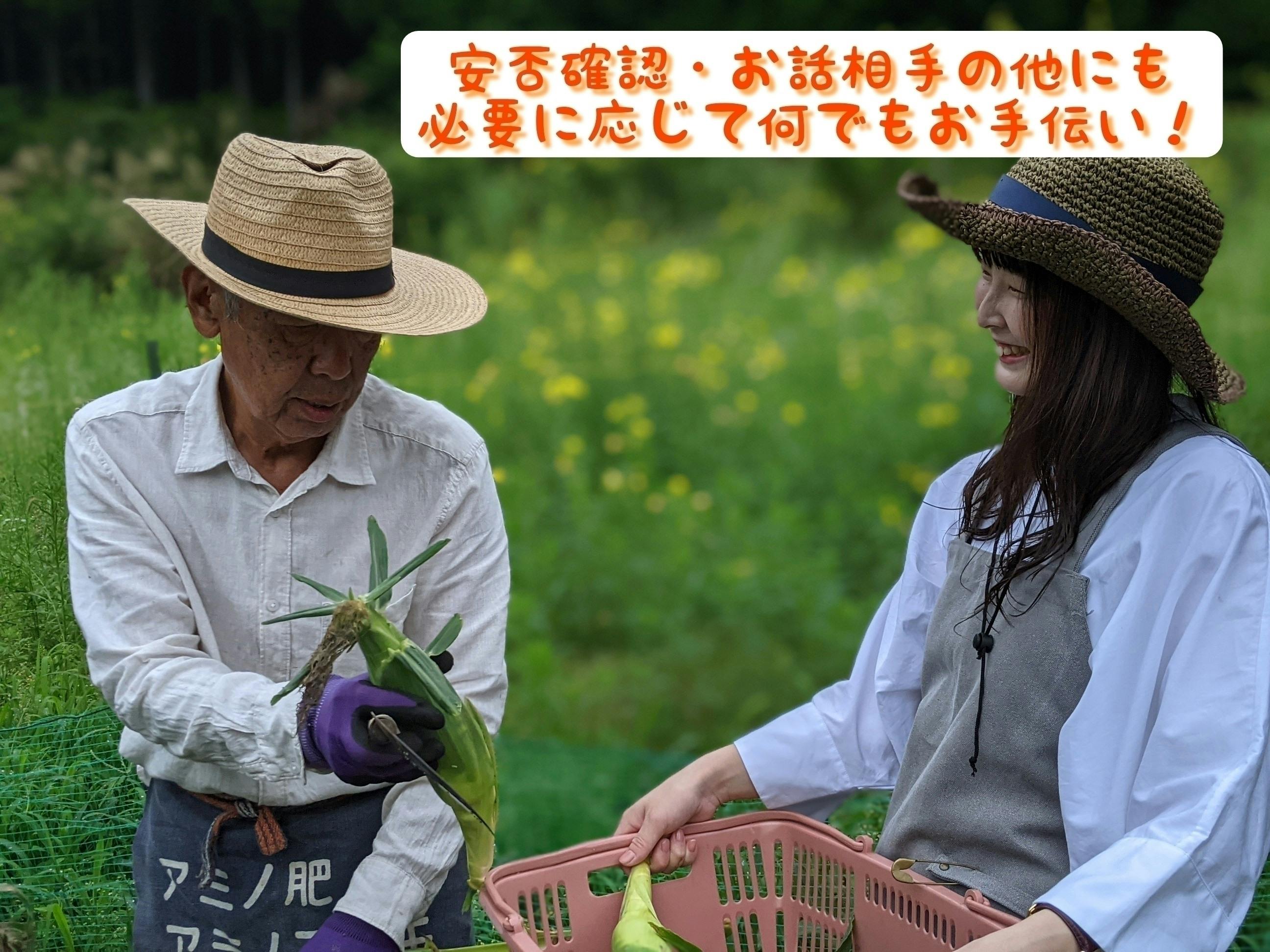 3番目のメイン画像