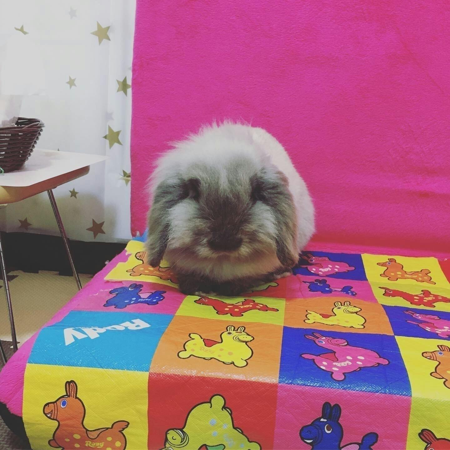 5番目のメイン画像