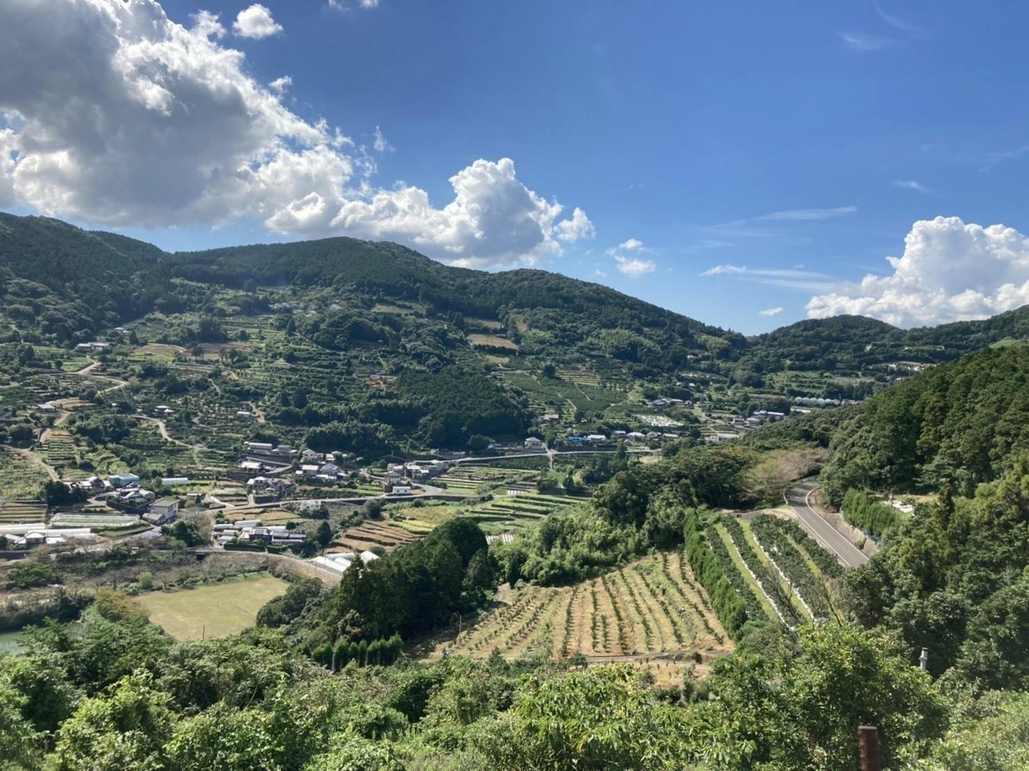 3番目のメイン画像