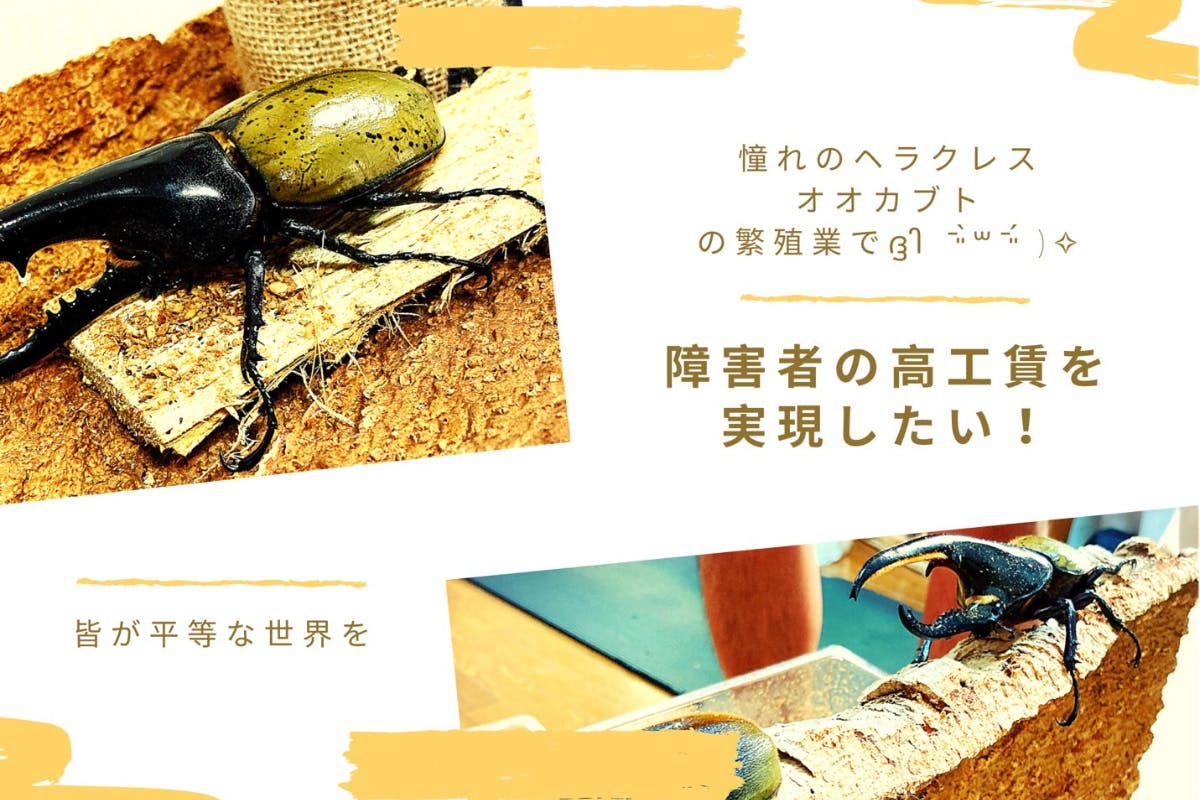 1番目のメイン画像