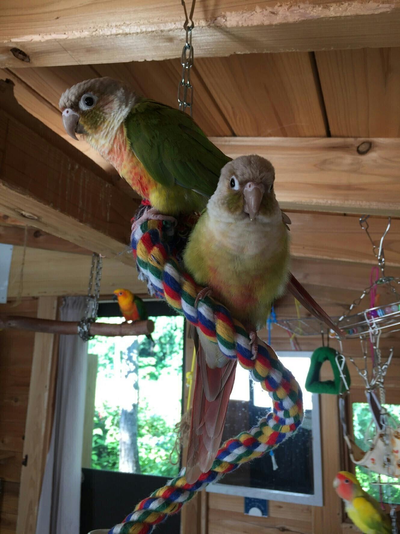 4番目のメイン画像