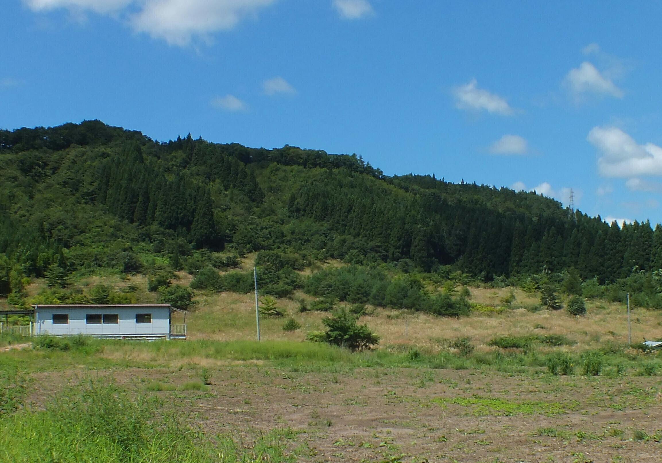 3番目のメイン画像