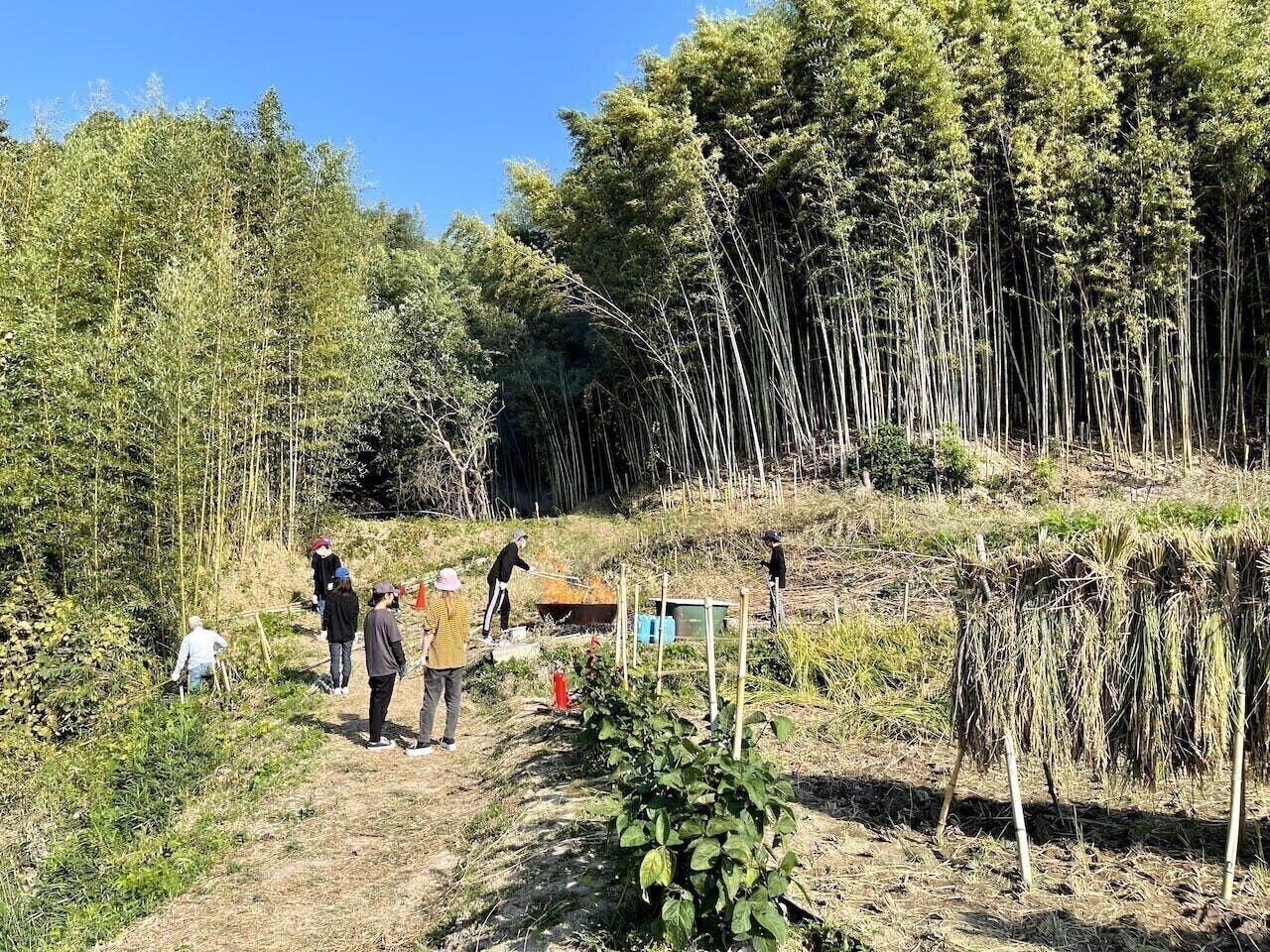 4番目のメイン画像