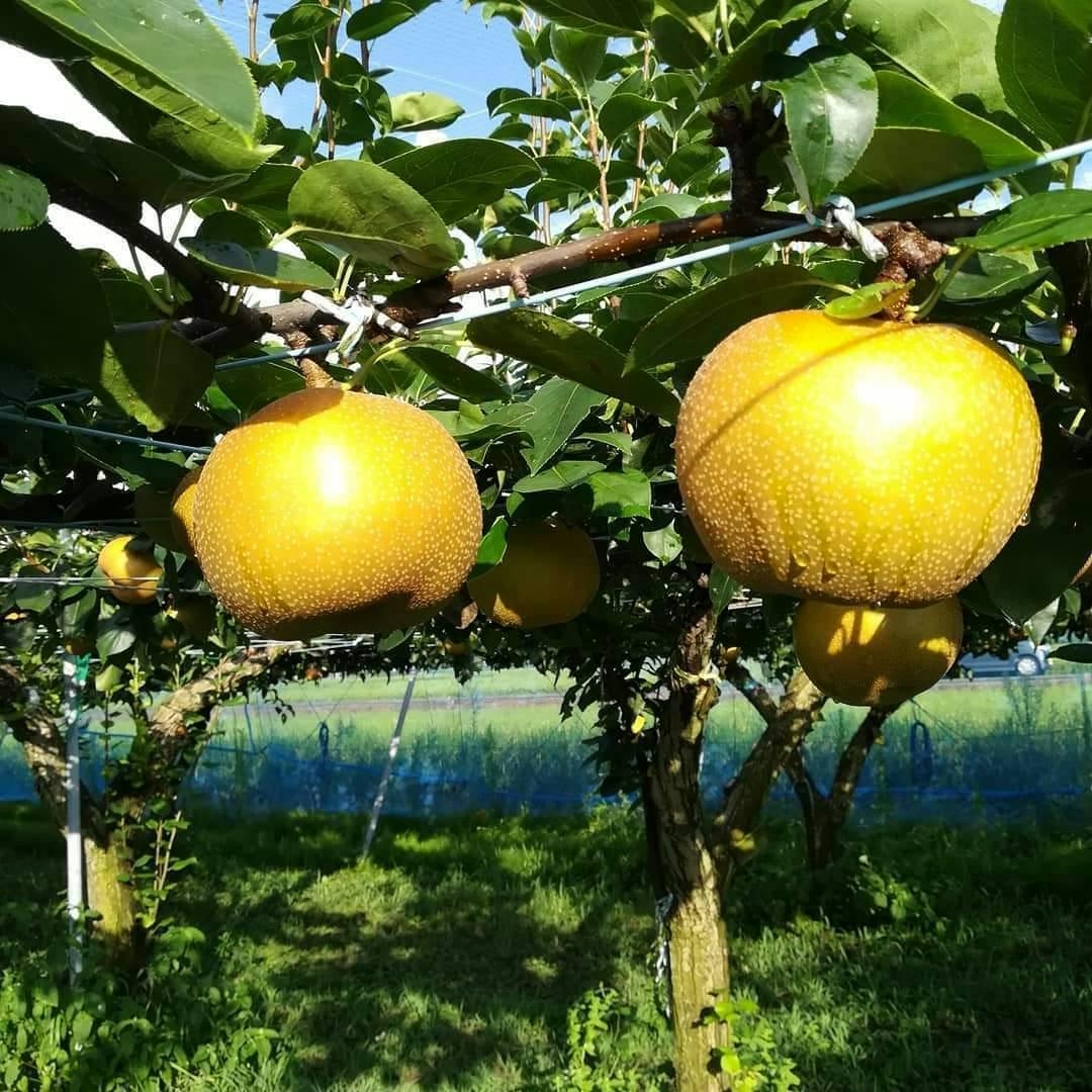 4番目のメイン画像