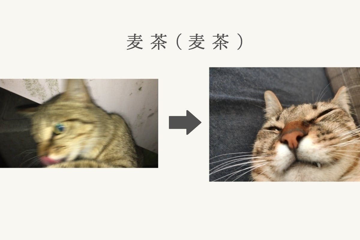 2番目のメイン画像