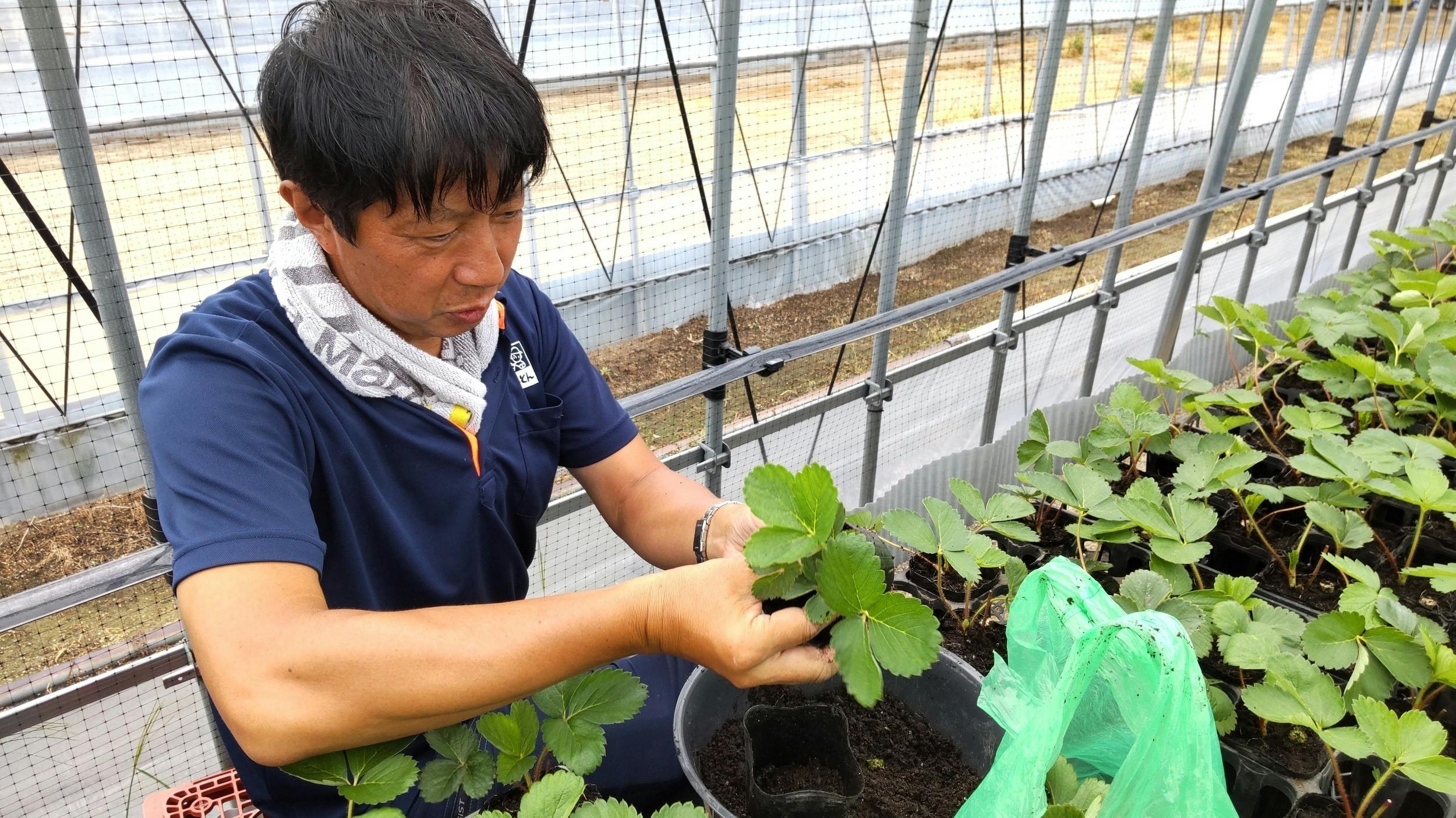 3番目のメイン画像