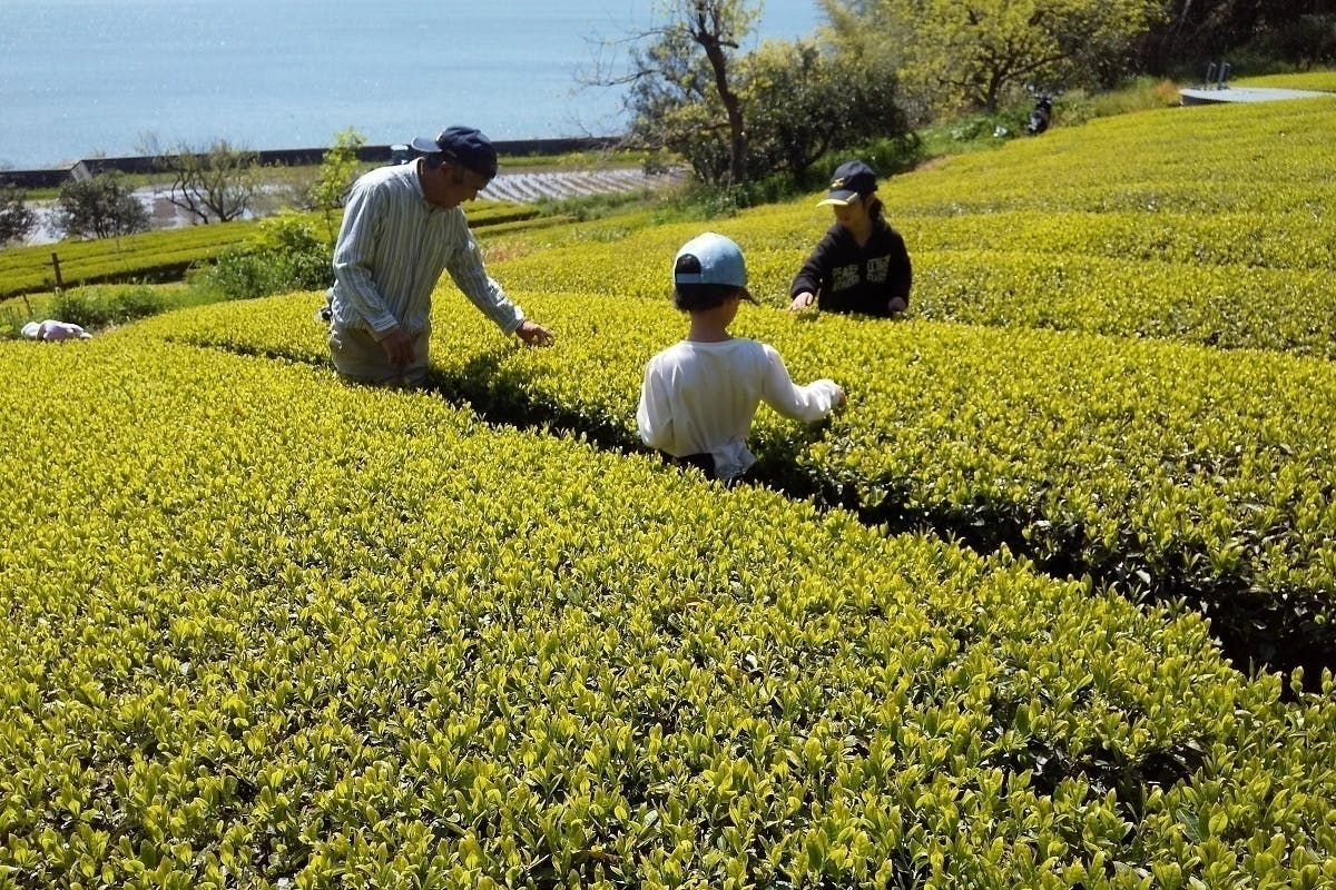4番目のメイン画像