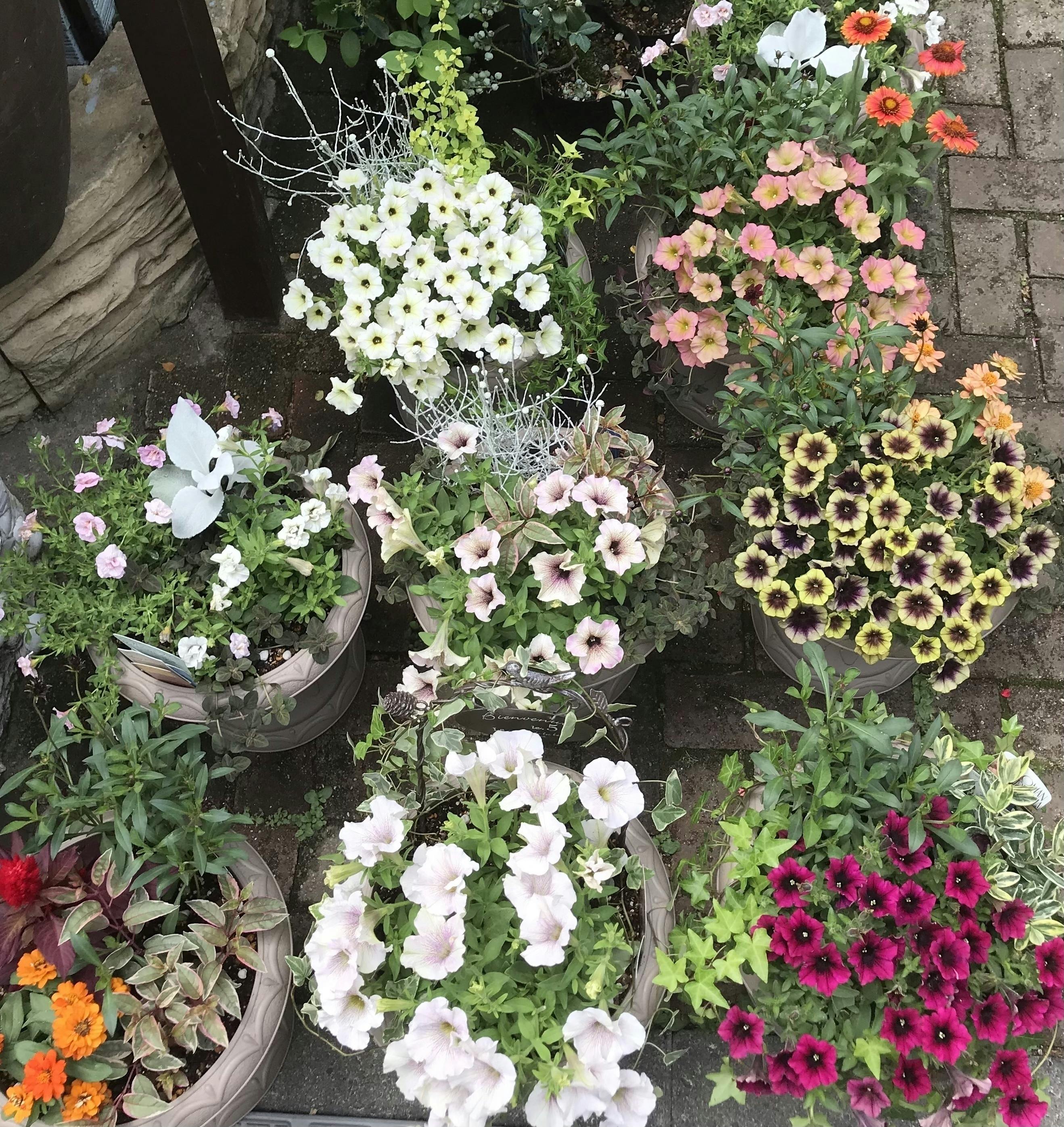 3番目のメイン画像