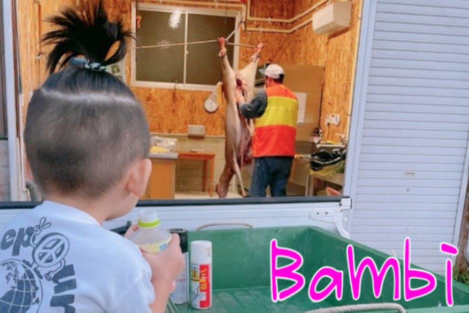 飛騨の美味しいジビエをもっと知って欲しい！設備向上の応援お願いし