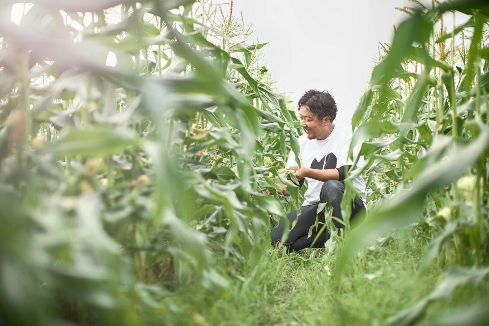 2番目のメイン画像
