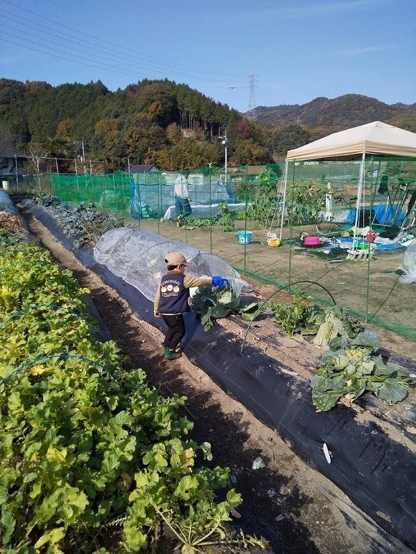 4番目のメイン画像