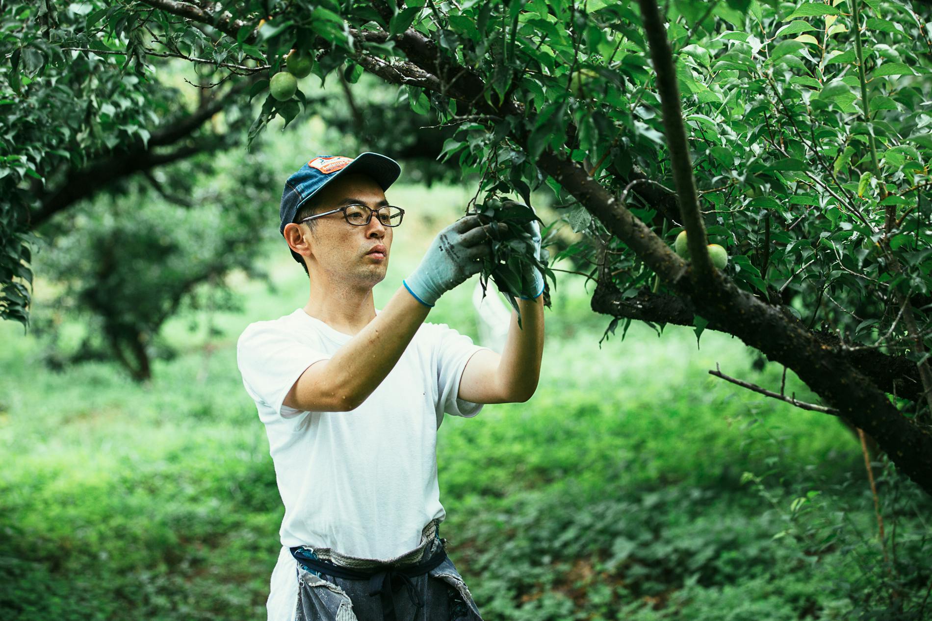 4番目のメイン画像