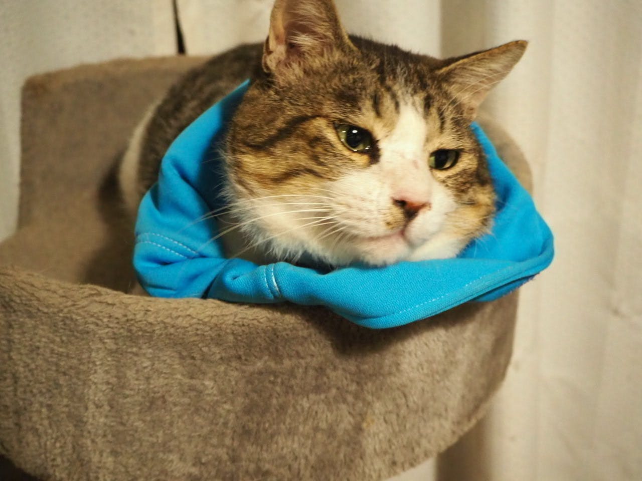 3番目のメイン画像