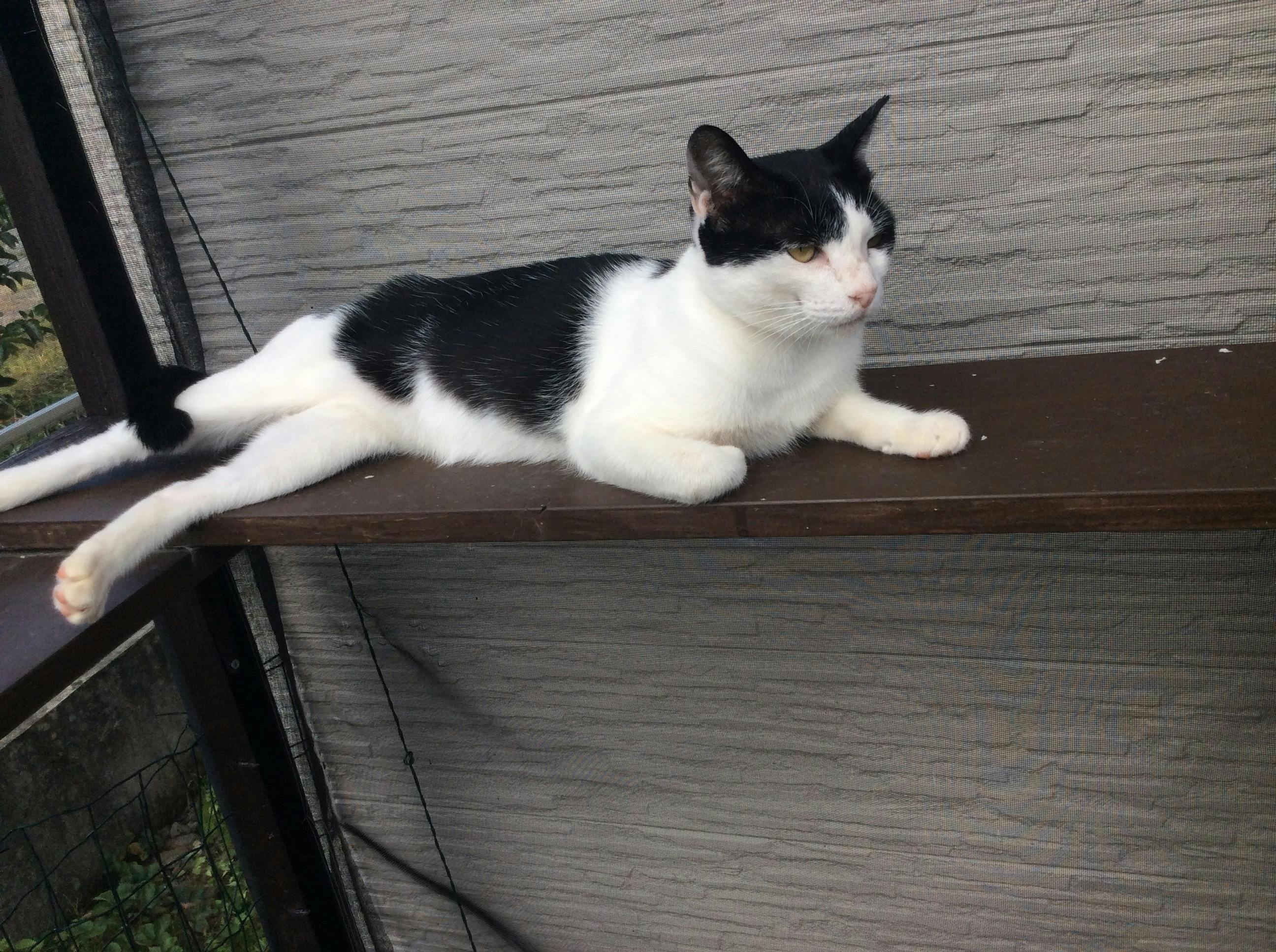 4番目のメイン画像