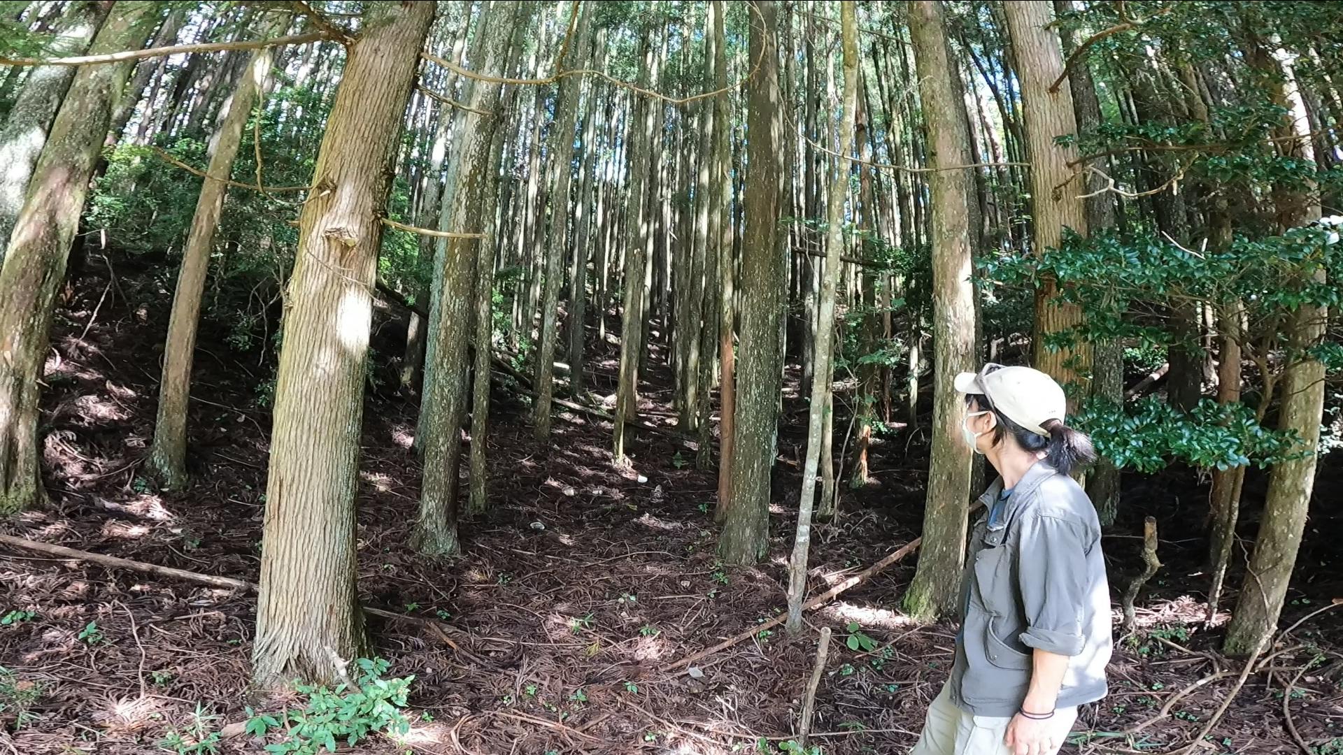 4番目のメイン画像