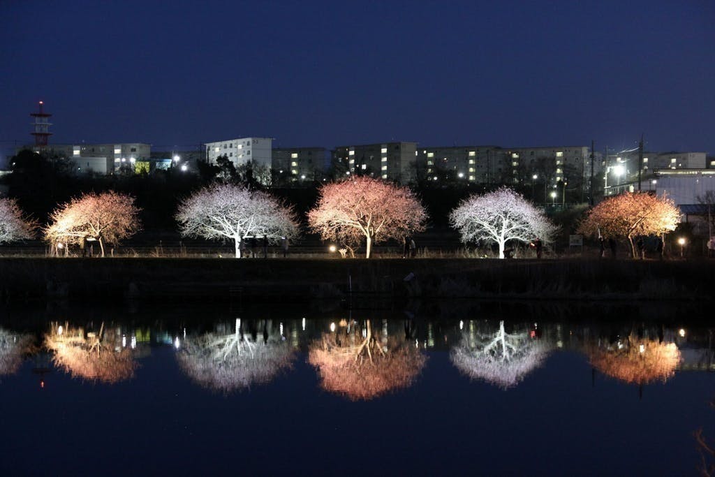 3番目のメイン画像