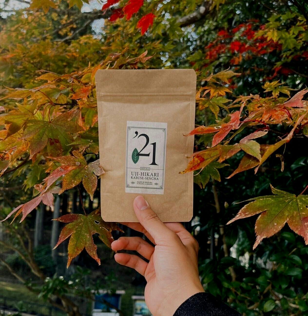 2番目のメイン画像