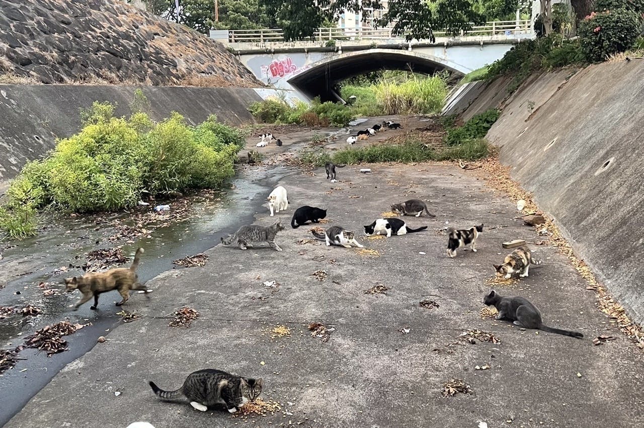 4番目のメイン画像