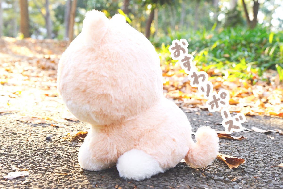 5番目のメイン画像