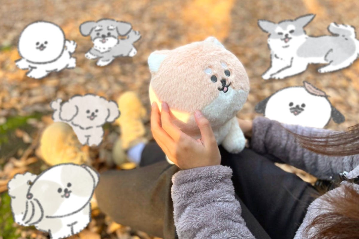 3番目のメイン画像