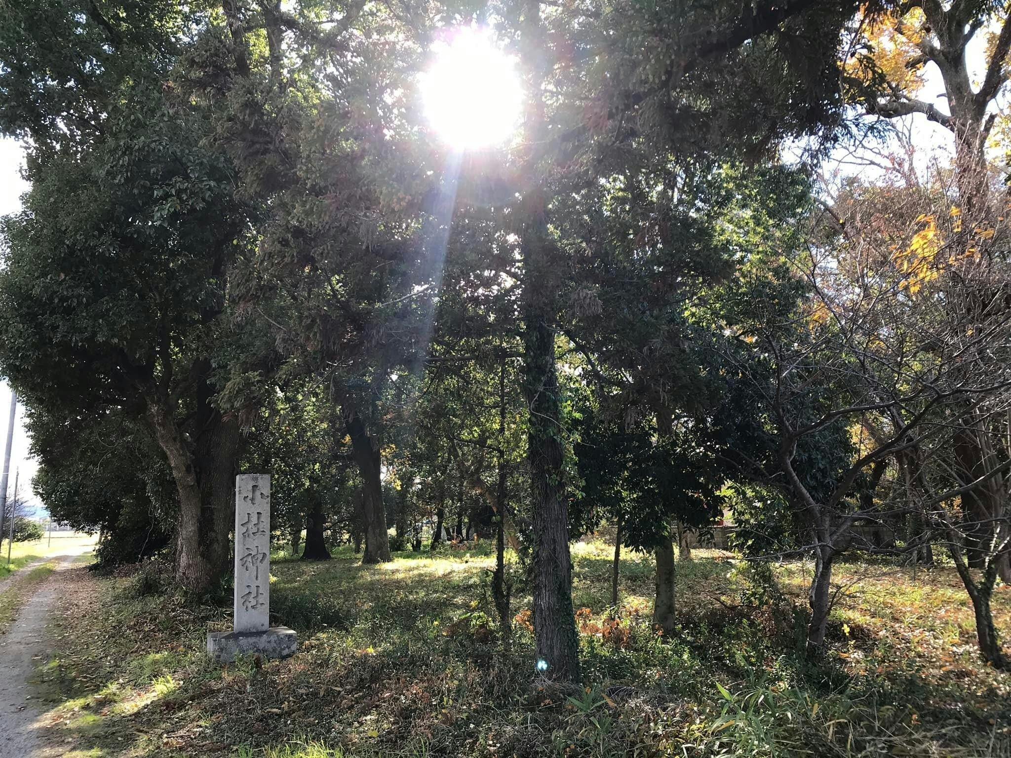 3番目のメイン画像