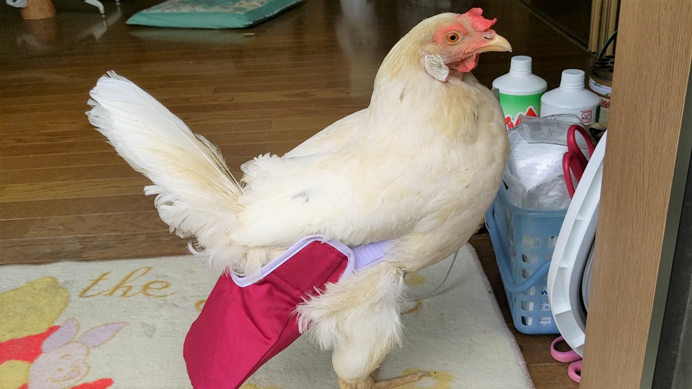 3番目のメイン画像