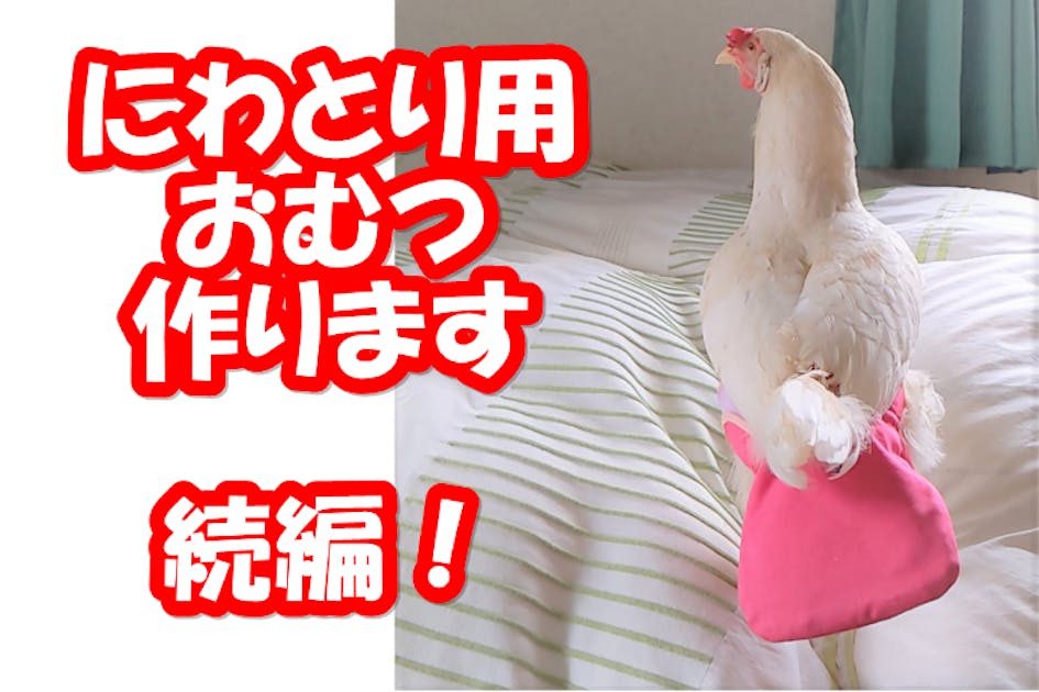 にわとり 楽天市場】風水 鳥 とり 酉 トリ 鶏 ニワトリ 置物 にわとり